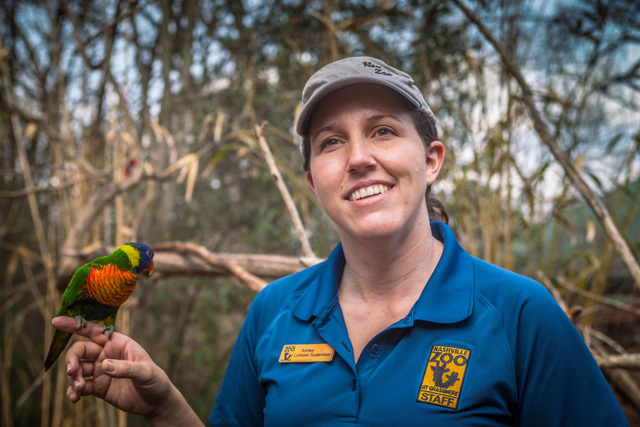 Ashley Gwatney, Lorikeet Area Supervisor, with a bird on her finger