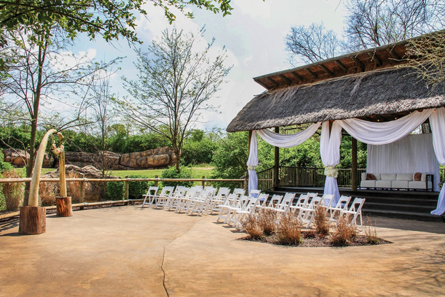Nashville Zoo Wedding Botswana
