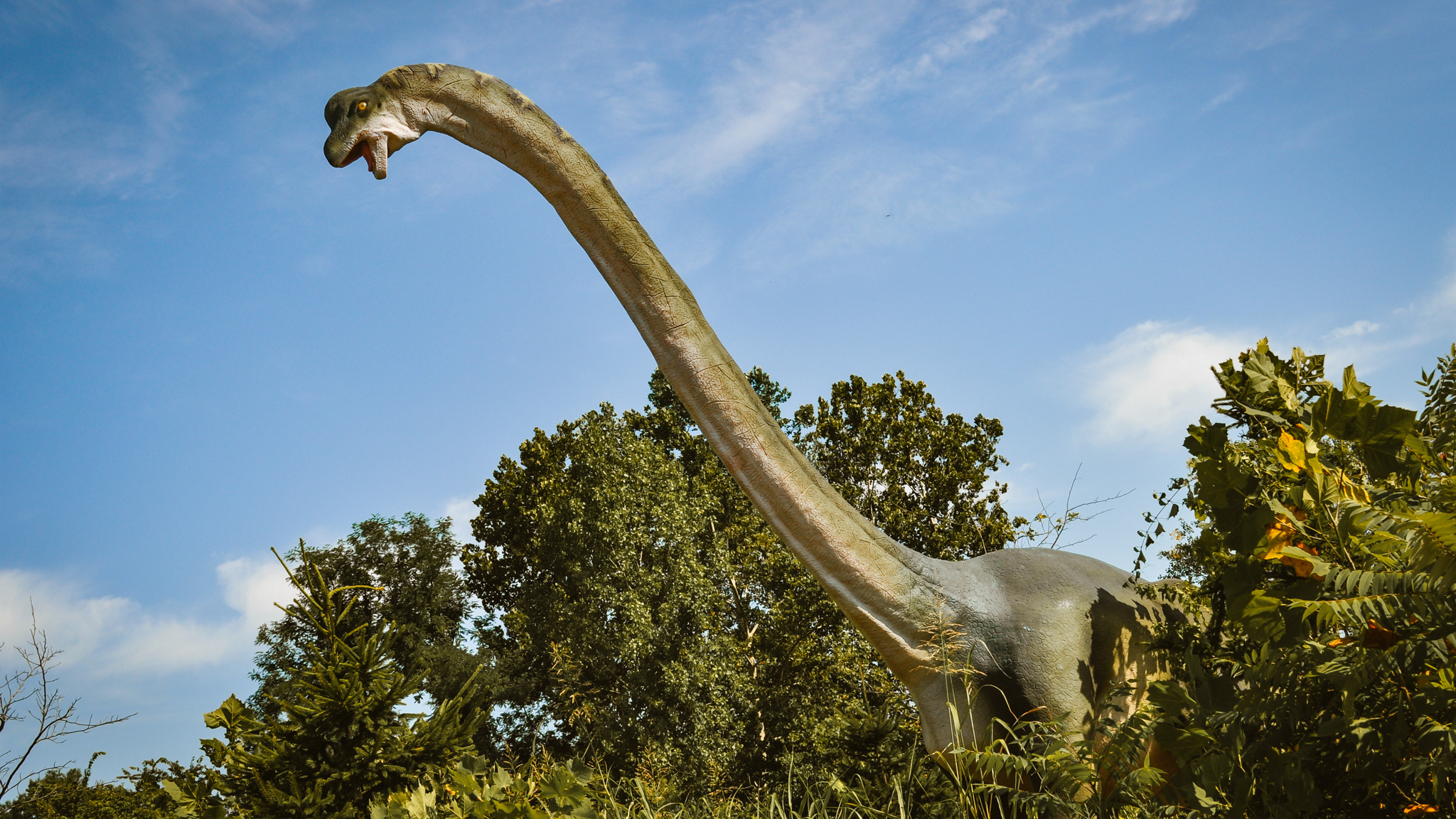 brachiosaurus