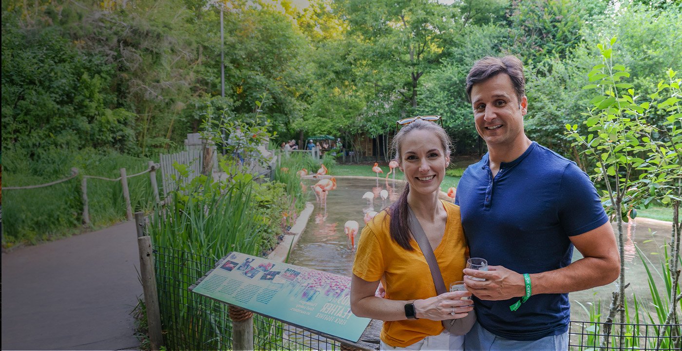 Couple enjoying Brew in front of the flamingo habitat