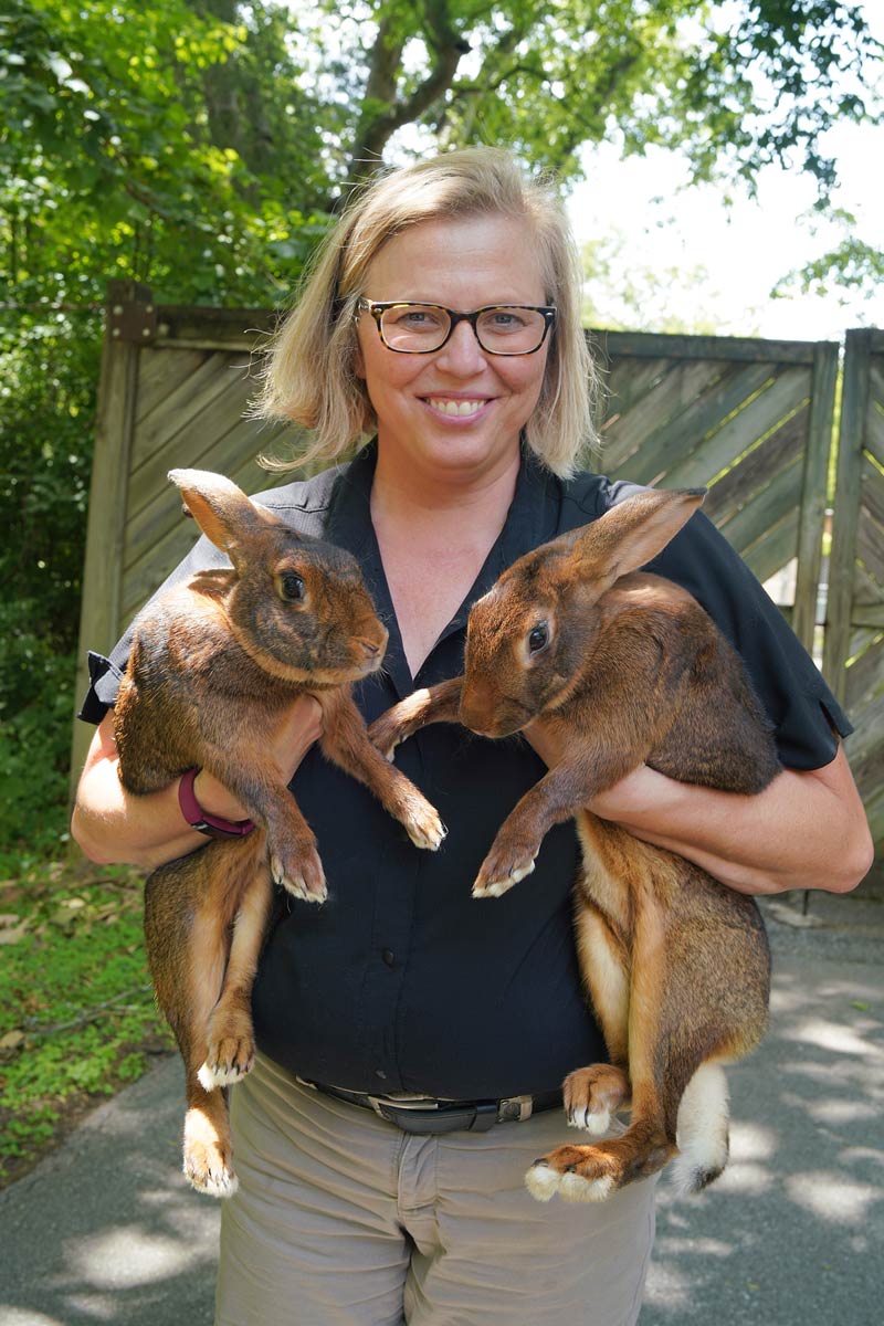 Robin Mahoney, Area Supervisor of Outreach, holding two hares