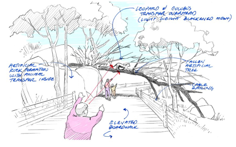 Leopard Viewing Mock