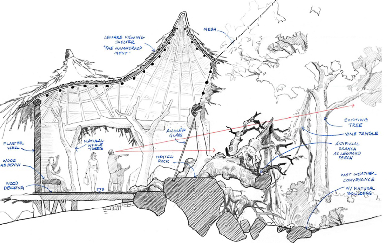 drawing of Amur leopard habitat