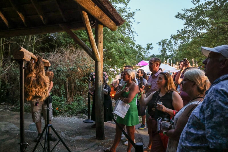 Sloth encounter at Brew at the Zoo