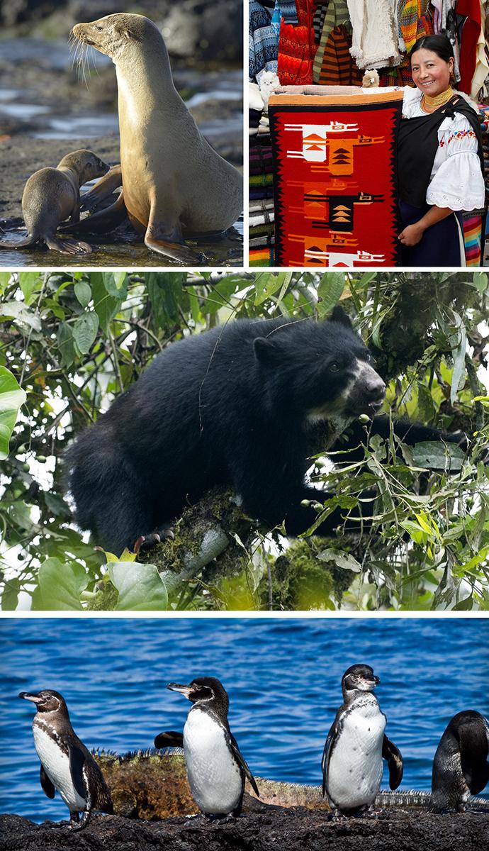 Galapagos Photo Montage