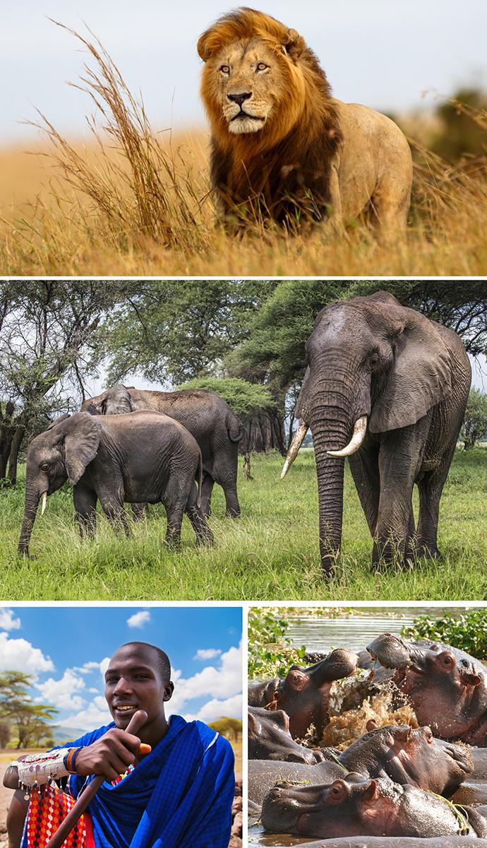 Tanzania Photo Montage