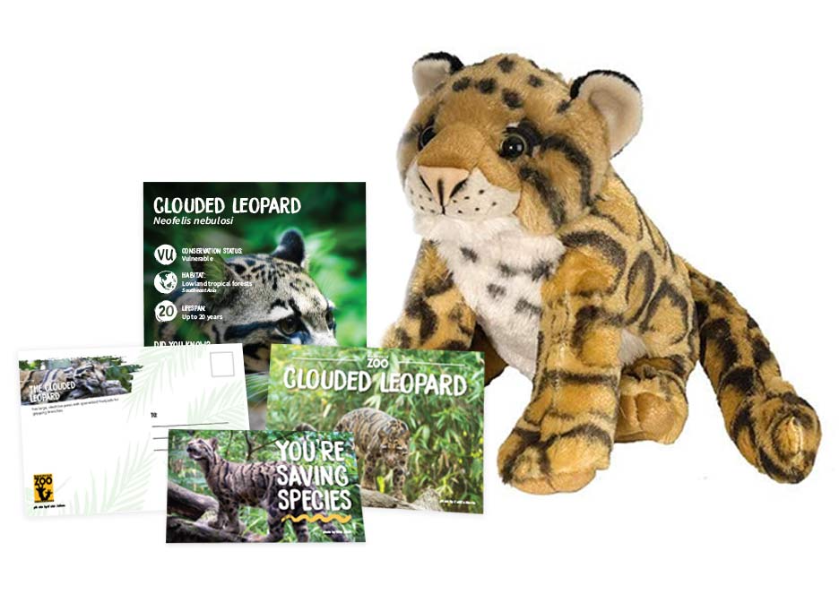 clouded leopard gift set