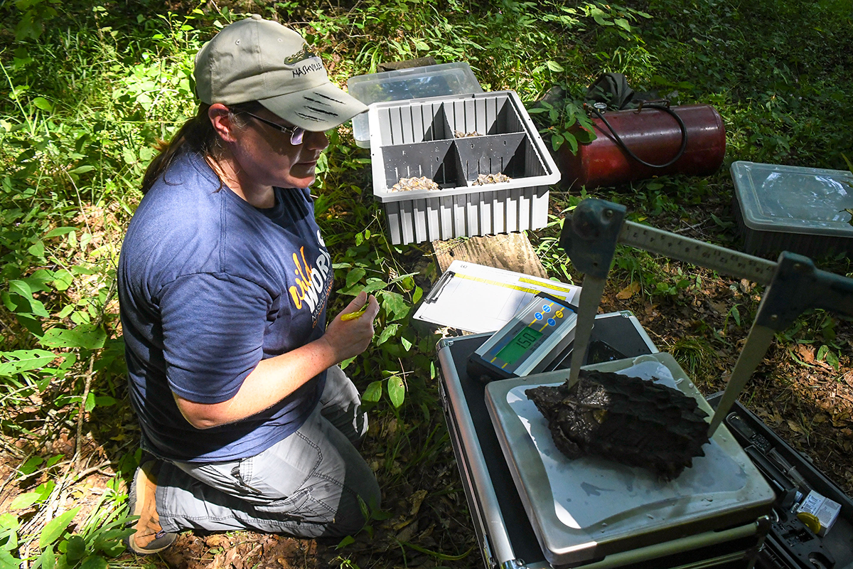 woman with snapping turtle